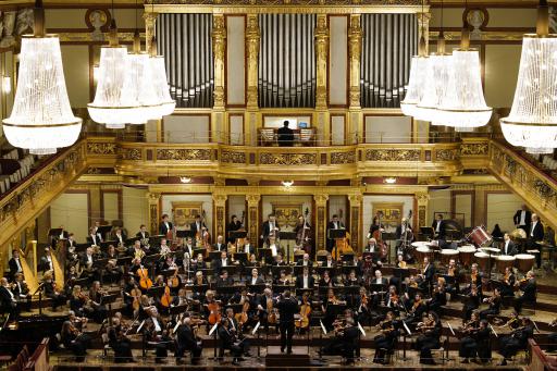 Musikverein Wien (c) Reinhard Winkler